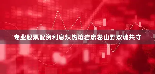 专业股票配资利息炽热熔岩席卷山野双魂共守