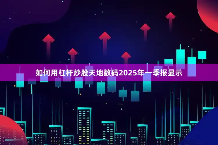 如何用杠杆炒股天地数码2025年一季报显示