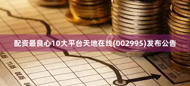 配资最良心10大平台天地在线(002995)发布公告