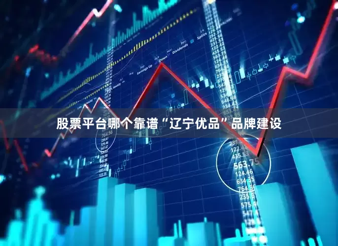 股票平台哪个靠谱“辽宁优品”品牌建设